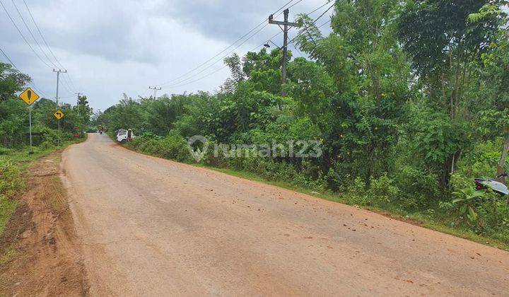 DIJUAL TANAH KAPLING COCOK UNTUK PERUMAHAN SUBSIDI LOKASI DI MONCONGLOE MAROS 1