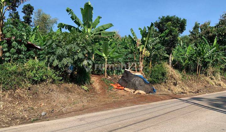 Dijual Tanah di Cibinong Hilir, Cianjur. Dekat Terminal Pasirhayam/Pusat Kota Cianjur. 2