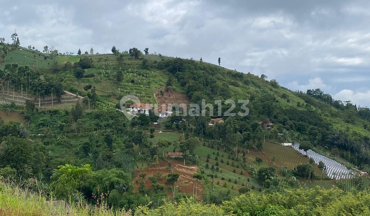 Premium Cheap Land 573.0 M² SHM Royal Garden Resort Dago Premium Cheap Land 573.0 M² SHM Royal Garden Resort Dago