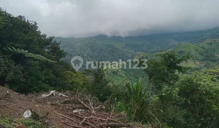 Tanah Murah Daerah Cukul Luas 77.349 M2 Di Pangalengan Tanah Murah Daerah Cukul Luas 77.349 M2 Di Pangalengan
