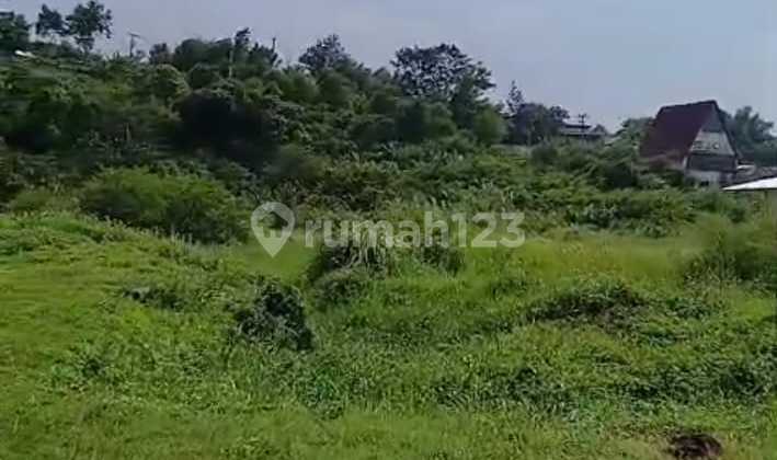 Cheap Land, Strategic Location, Mature Area, 2.4 Hectares, SHM Certificate in Cimareme.