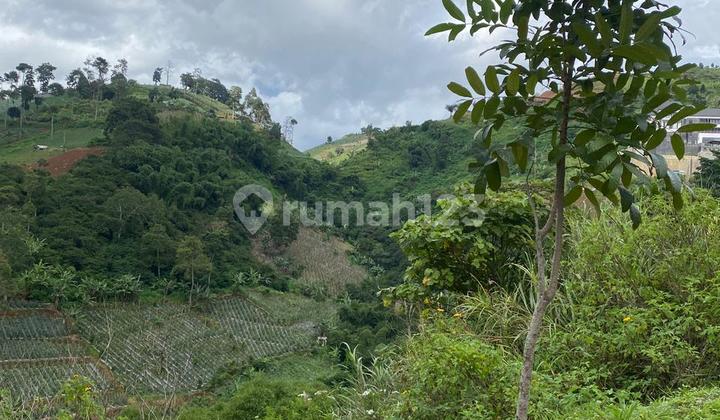 Premium Cheap Land 577.0 M² SHM in Emerald Hill Premium Cheap Land 577.0 M² SHM in Emerald Hill