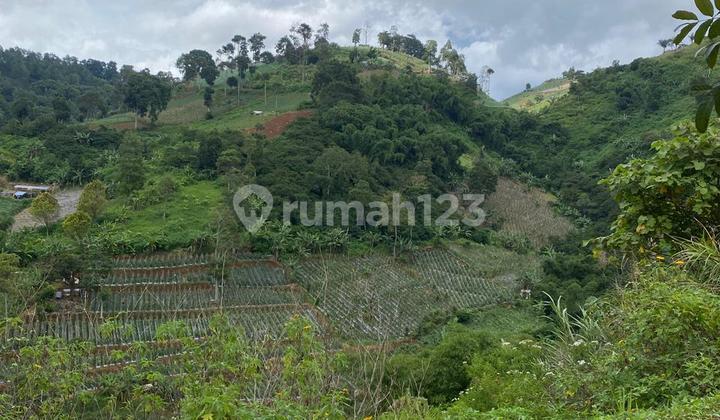 Affordable Land 859.0 M² with SHM in Dago Pakar Resort Affordable Land 859.0 M² with SHM in Dago Pakar Resort