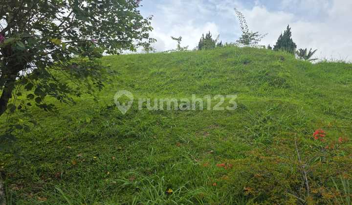 Tanah Murah Dibawah NJOP Luas 1220 M2 SHM di Setiabudi Regency Tanah Murah Dibawah NJOP Luas 1220 M2 SHM di Setiabudi Regency