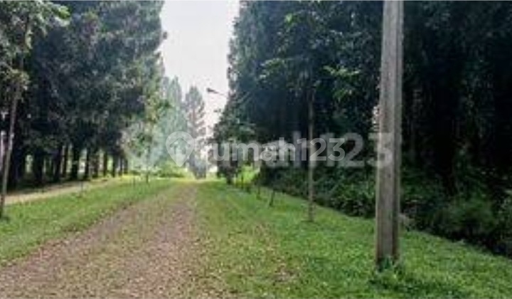 Cheap Good Large 4 Hectare Land On Kolmas Main Road Cihanjuang