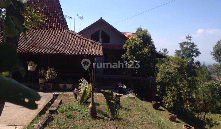 Rumah Bagus SHM di Padasuka, Bandung Lokasi Strategis 1