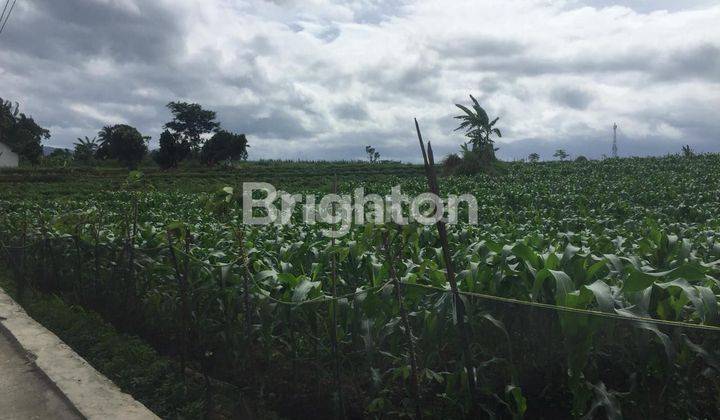 Kavling Vila Murah di Bogor Dengan View Keren Gunung Salak  1