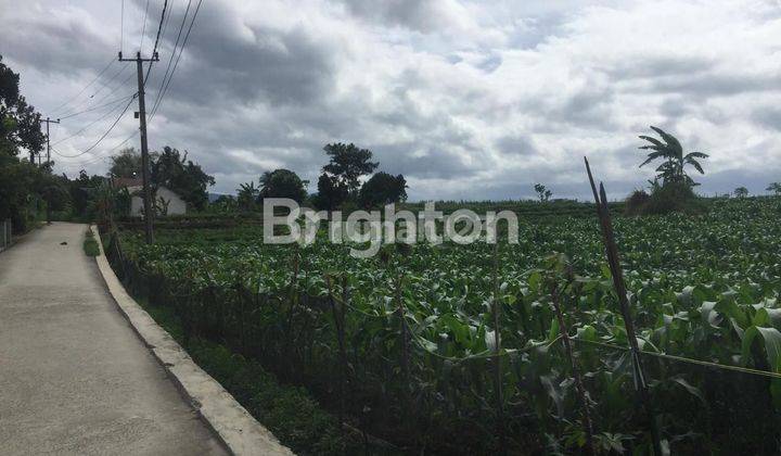 Kavling Vila Murah di Bogor Dengan View Keren Gunung Salak  2