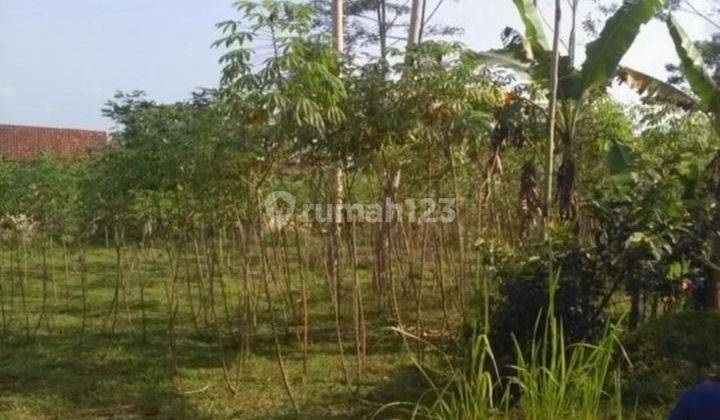 Dijual  cepat Tanah Cidahu Sukabumi lahan kosong  1