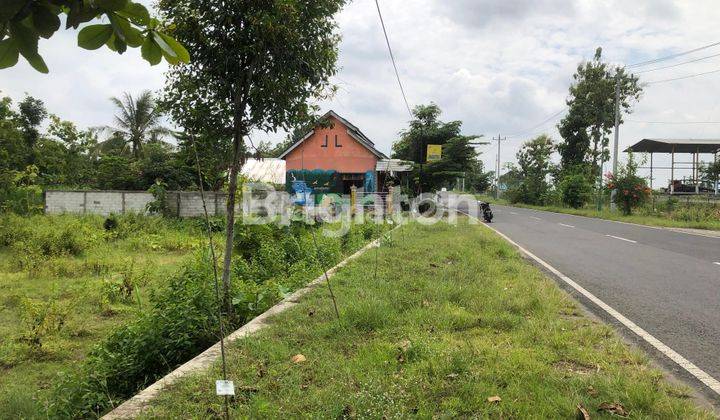 DIJUAL CEPAT SEBIDANG LAHAN PEKARANGAN SELATAN LANUD GUNUNGKIDUL 1