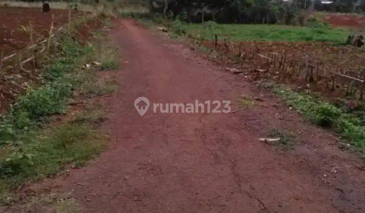 Tanah Luas Di Jalan Taman Buah Mekarsari 1