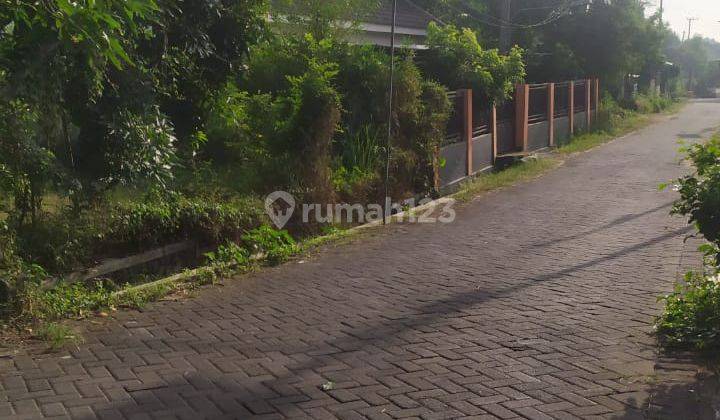 Dijual Tanah Kebun Mangga di Pasuruan Jawa Timur 1