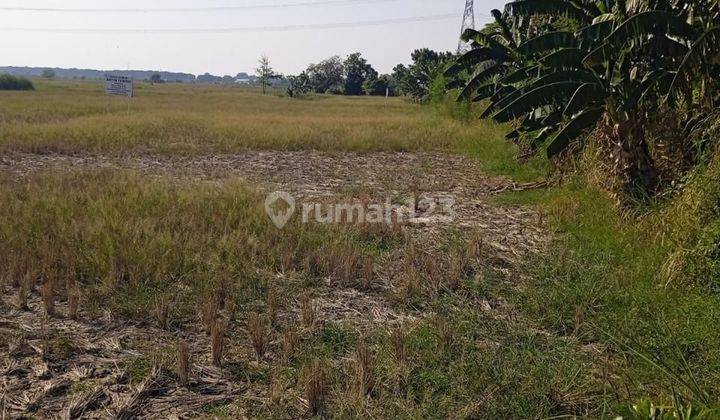 Dijual Tanah Di Marunda Cilincing 2