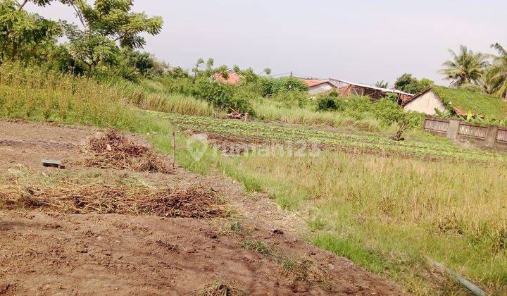 Dijual Murah Tanah Kavling Dekat Pergudangan Laksana 1