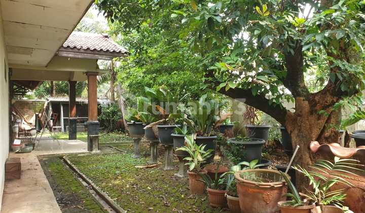 Two-Story House with a Lush Yard in Depok