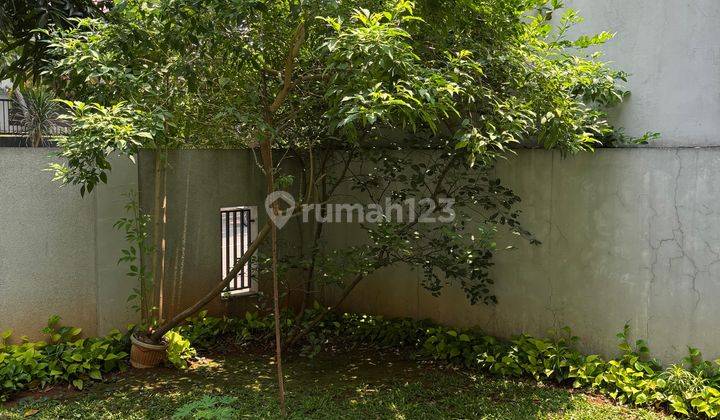 Rumah Sewa Rapih Dan Sejuk Siap Huni Di Citra Grand 2