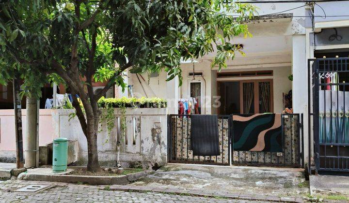 Rumah 1 Lantai Taman Royal Siap Huni  1