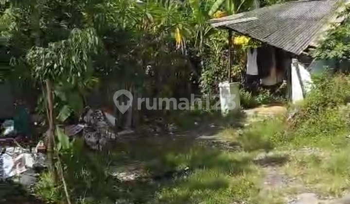 Dijual Tanah Murah di Buana Raya Padangsambian Denpasar Barat. Dijual Tanah Murah di Buana Raya Padangsambian Denpasar Barat.