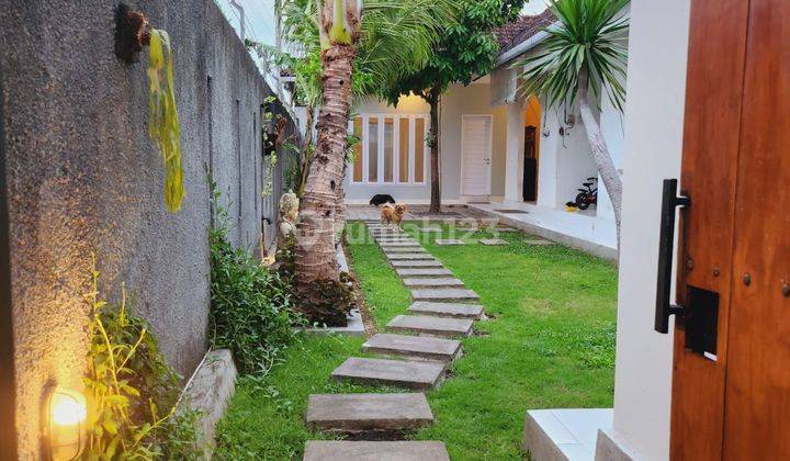 For Rent Semi Villa House With Rice Field View On Jalan Gunung Salak Denpasar Bali 1