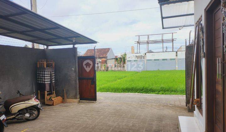 For Rent Semi Villa House With Rice Field View On Jalan Gunung Salak Denpasar Bali 2