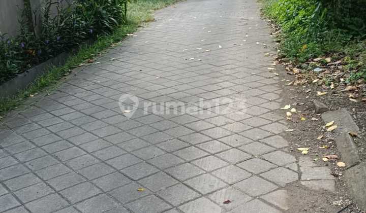 Dijual Tanah Murah Area Kwanji Dalung Badung Bali Dijual Tanah Murah Area Kwanji Dalung Badung Bali