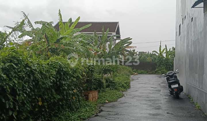 Dijual Tanah Murah Area Sedap Malam Denpasar Timur Bali