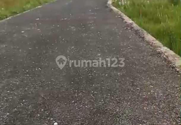 Vacant Land for Sale on Kerobokan Road, Badung, Bali. Vacant Land for Sale on Kerobokan Road, Badung, Bali.