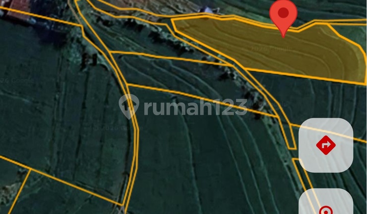 For Sale Rice Field Land in Kerambitan Village, Baturiti, Tabanan