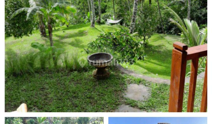Beautiful Wooden House For Rent In Carangsari Bali Near From Ubud  2