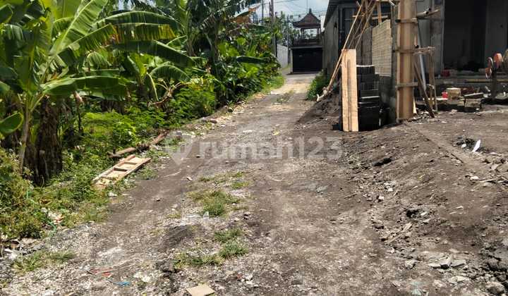 Dijual Tanah Murah Dalung Badung Bali