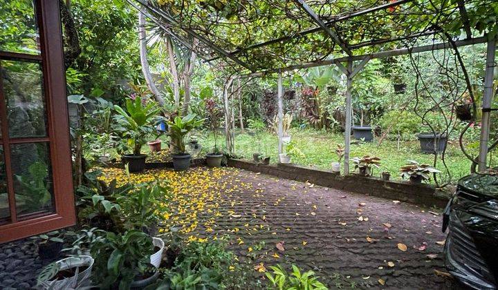 Rumah Lingkungan Sejuk di Jl Ahmad Yani, Bogor, Jawa Barat 1