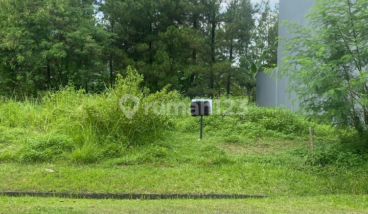Kavling Siap Bangun Di Cluster Terdepan Dekat Pintu Tol Di Cluster Taman Equator Sentul City Bogor Kavling Siap Bangun Di Cluster Terdepan Dekat Pintu Tol Di Cluster Taman Equator Sentul City Bogor