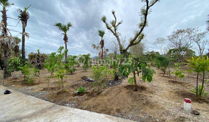 Dijual Tanah di Dijual tanah di daerah Datah abang karangasem bali.
LT. 5 are, Datah SHM - Sertifikat Hak Milik 2