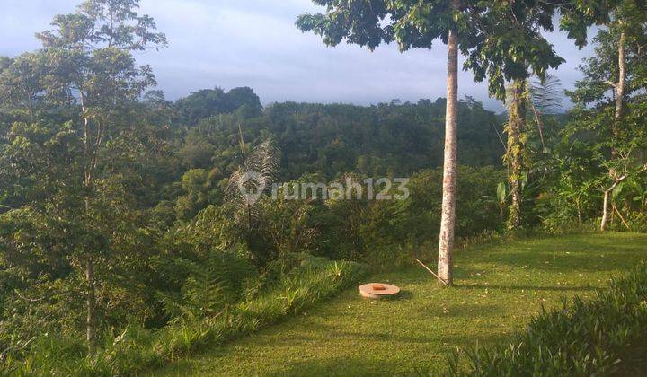 Villa Joglo Payangan Gianyar Bali 2