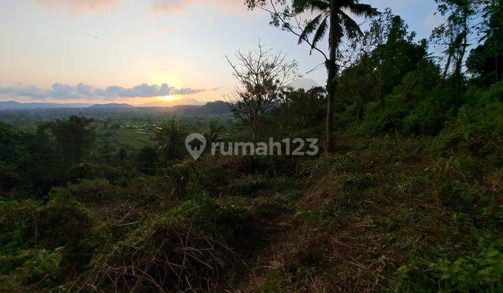 Dijual Tanah Di Sadimara Ababi Karangasem Bali 2