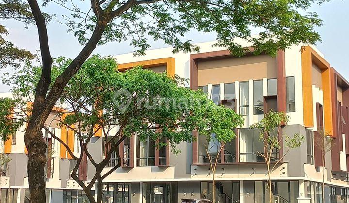 Jual Ruko Campton Bsd Sebelah Universitas Atmajaya 3 Lantai. Lc Efbw