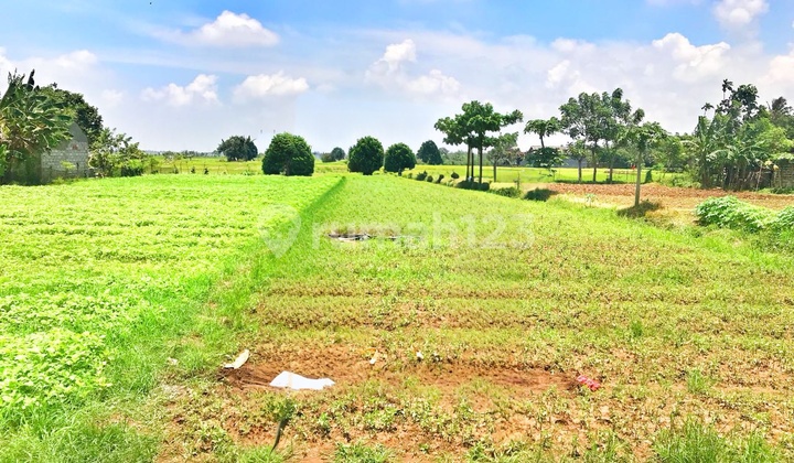 Di Jual Kavling Bebas Banjir Di Pinggir Jalan Raya Pasar Babelan, Bekasi