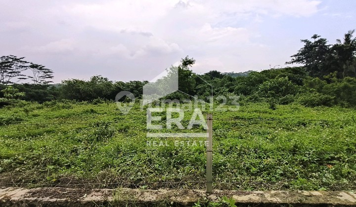 For Sale Plots in Klapanunggal Village, Bogor