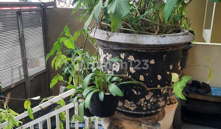 Rumah + Kost2an di Radio Dalam Kebayoran Baru Jakarta Selatan 2