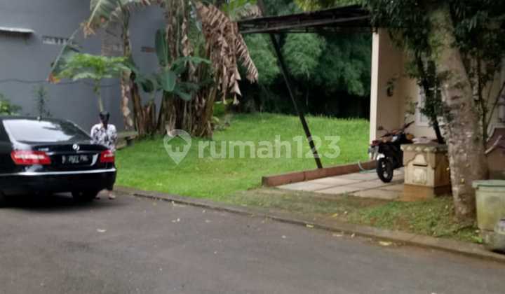 Latino Mexicanos Land Plot