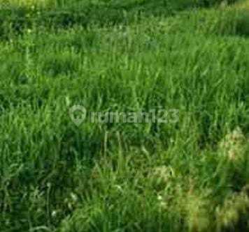 KAVLING PAGEDANGAN DEKAT ICE BSD, SIAP BANGUN UNTUK CLUSTER, RUMAH KOST, APARTMENT, DAN INVESTASI LAINNYA