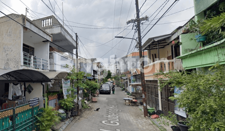 RUMAH 2 LT DI JL GUBENG KERTAJAYA SURABAYA 2