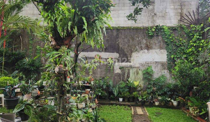 Disewakan Rumah Haritage Di Jalan Selang Babakan Bogor 2