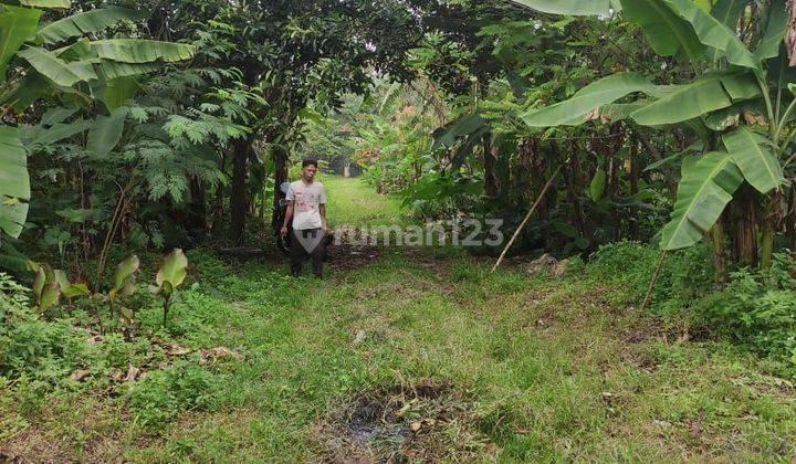 Dijual Tanah Di Kranggan Citeureup Cocok Untuk Industri 2