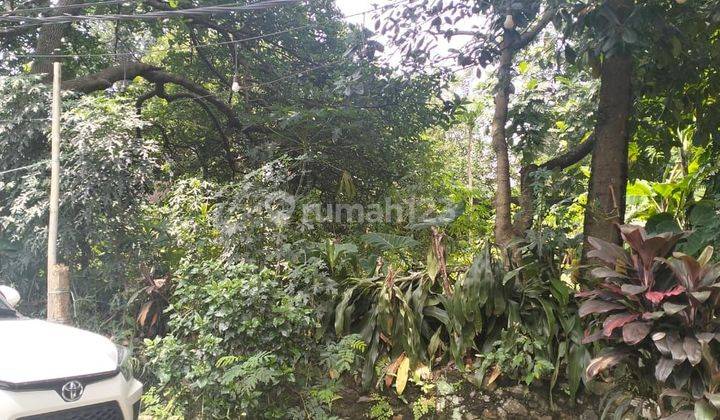 Dijual Tanah Kavling Di Curug Mekar Belakang Transmart Yasmin Bogor 2