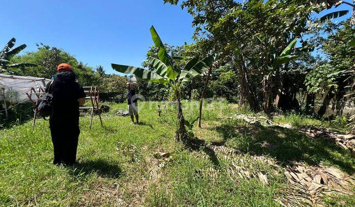 Dijual Cepat Tanah Strategis Di Dekat Kampus IPB Dramaga Bogor Bonus Bangunan Rumah Cocok Untuk Kost 1