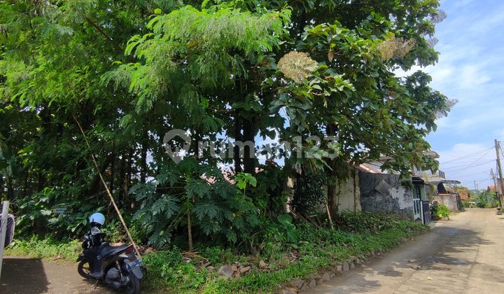 Land with Teak Trees for Sale in Cibinong, Bogor Land with Teak Trees for Sale in Cibinong, Bogor