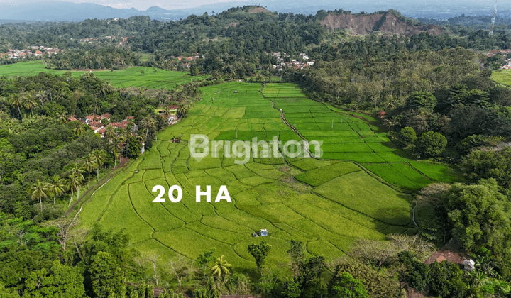 TANAH DI CIANJUR LUAS 27 HA, HANYA 3,3 KM ATAU 7 MENIT DARI TERMINAL PASIR HAYAM/PUSAT KOTA CIANJUR BOLEH BELI SEBAGIAN SAJA (PARSIAL, SESUAI KEBUTUHAN) 2