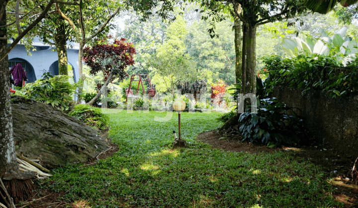 TANAH DI JL.TARUMANEGARA CIJERUK BOGOR ada Bangunan Villa 1