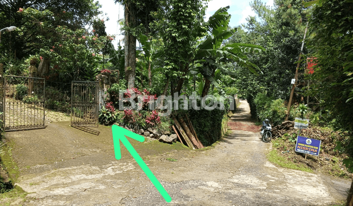 TANAH LOKASI DI KAMPUNG TAPOS CIJERUK KABUPATEN BOGOR 1